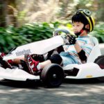 Карт Ninebot by Segway Gokart kit (26.01.0000.40)
