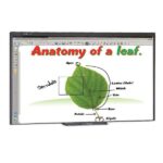 Интерактивная доска Smart Board SBM480