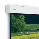 Экран для проектора Projecta Elpro Large Electrol 306x490 Matte White 10140338