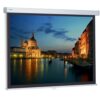 Экран для проектора Projecta ProScreen CSR 154x240 см, MatteWhite (10200236)