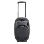 Портативная колонка IBIZA PORT12UHF-MKII-TWS в Днепре