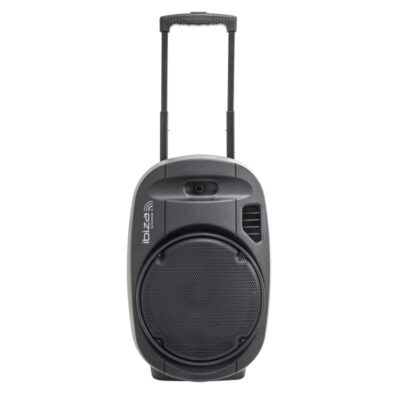 Портативная колонка IBIZA PORT12UHF-MKII-TWS в Днепре