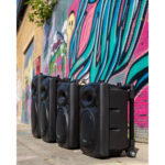 Портативная колонка IBIZA PORT15UHF-BT купить