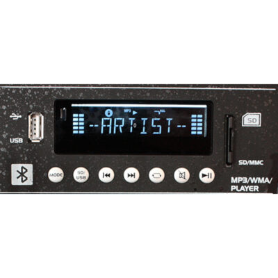 Портативная колонка IBIZA PORT15UHF-BT купить